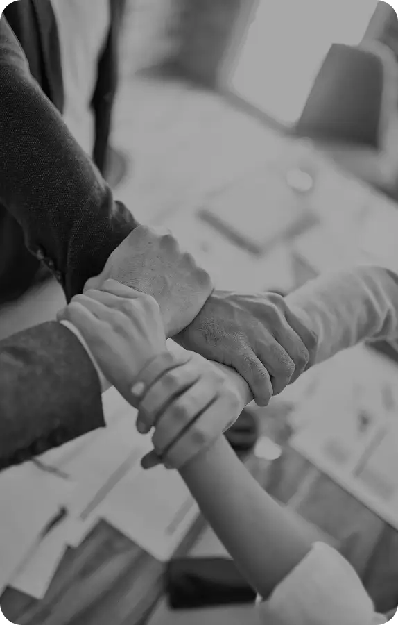 Project-based collaboration with central and local public administration
